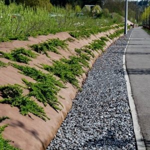 Jardisart - Le magasin • Bâche de sol • Bioweedtex - Anti-mauvaise herbes  bio-dégradable